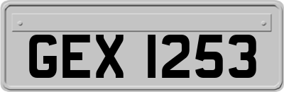 GEX1253
