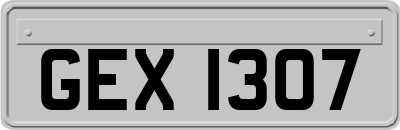GEX1307