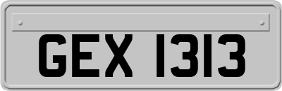 GEX1313