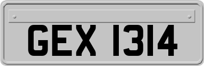 GEX1314
