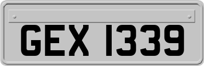 GEX1339