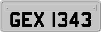 GEX1343