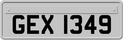 GEX1349