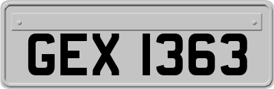 GEX1363