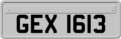GEX1613