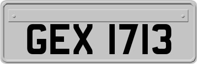 GEX1713