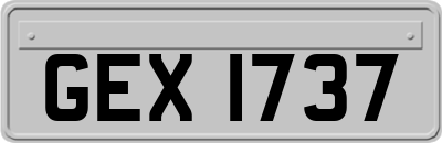GEX1737