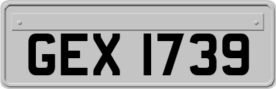 GEX1739