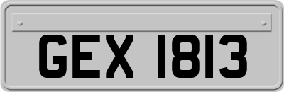 GEX1813