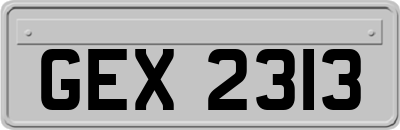 GEX2313