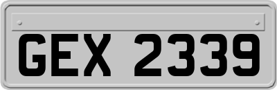 GEX2339