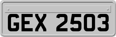 GEX2503