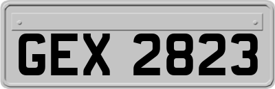 GEX2823