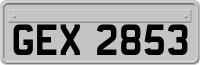 GEX2853