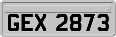 GEX2873