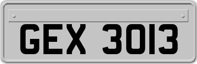 GEX3013