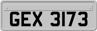 GEX3173