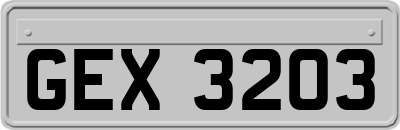 GEX3203