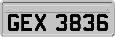 GEX3836