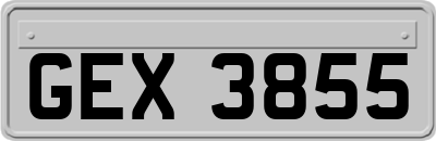 GEX3855