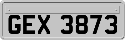 GEX3873