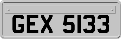 GEX5133