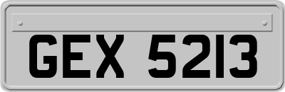 GEX5213