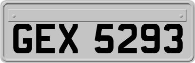 GEX5293