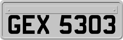 GEX5303