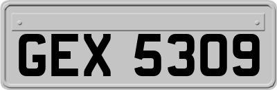 GEX5309