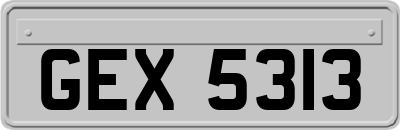 GEX5313