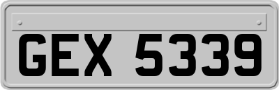 GEX5339