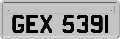 GEX5391