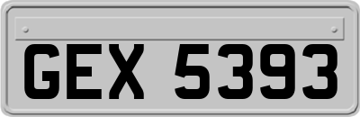 GEX5393