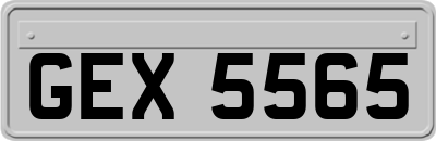 GEX5565