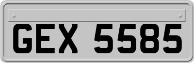 GEX5585