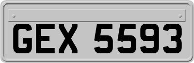 GEX5593