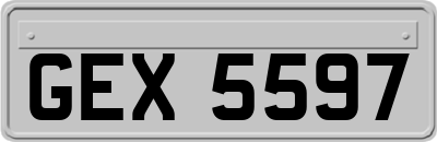 GEX5597