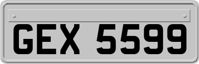 GEX5599