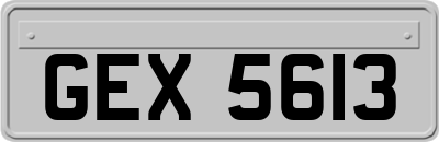 GEX5613