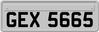 GEX5665