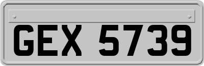 GEX5739