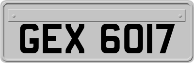 GEX6017