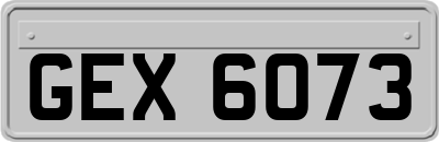 GEX6073