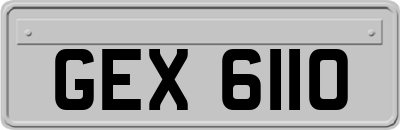 GEX6110