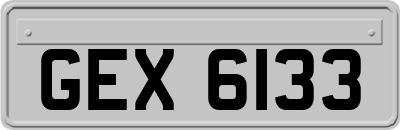GEX6133