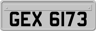 GEX6173