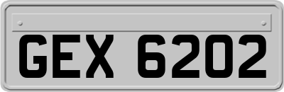 GEX6202