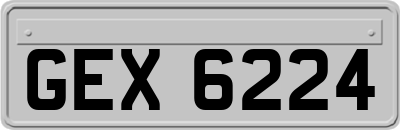 GEX6224