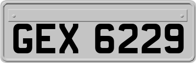GEX6229